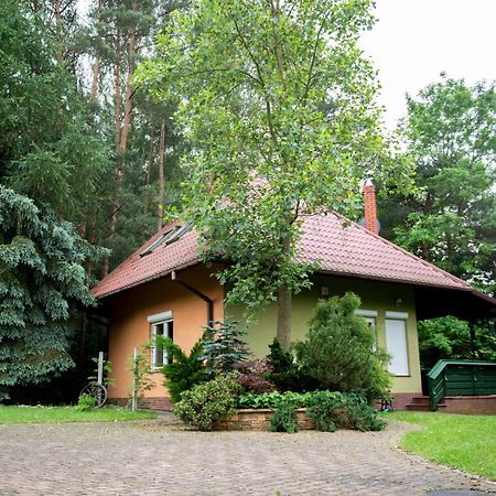 Villa Dom Nad Stawem Rakszawa Exterior foto