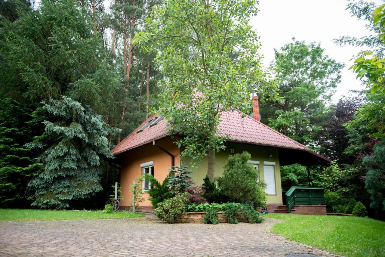 Villa Dom Nad Stawem Rakszawa Exterior foto